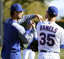 Baseball: Cubs' Darvish, Hamels at spring training