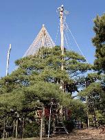 Kenrokuen Garden braces for winter