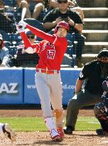 Baseball: Ohtani's DH debut in spring training