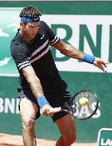 Tennis: Del Potro reaches French Open semifinals