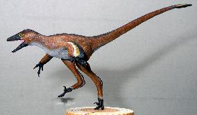 Newly-found dinosaur in western Japan