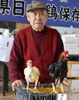 Japanese native chicken beauty contest held