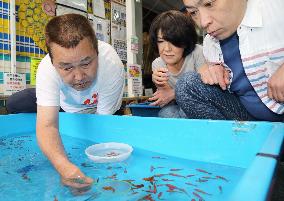 Goldfish scooping creates human bonds beyond generations