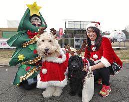 Santa Run event in Tokyo