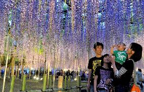 People treated to pink floral shower