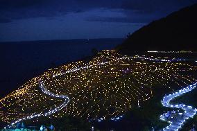 Rice terrace illumination event in Japan