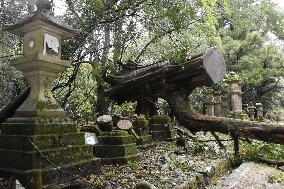 Powerful typhoon in western Japan