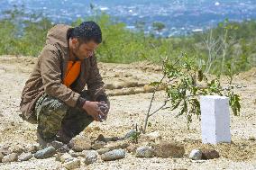 Indonesia quake-tsunami aftermath