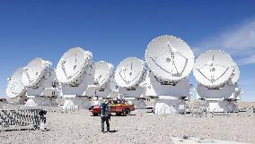 Alma telescope antennas in Chile