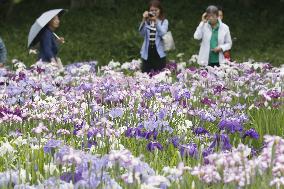 Rainy season begins in western, central and eastern Japan