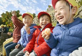 Fruit picking in Fukushima