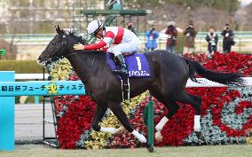 Horse racing: Danon Premium wins Asahi Hai