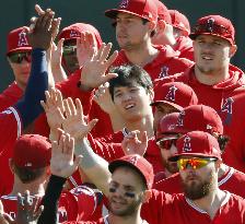 Baseball: Angels v Athletics