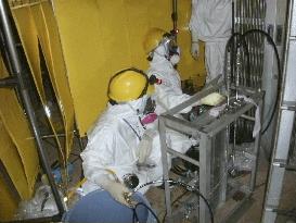 Fukushima's No. 1 reactor radiation up to 4,000 millisieverts