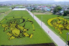 'Wind and Thunder Gods' paintings in rice paddy field