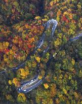 Irohazaka winding road area in Nikko ablaze with autumn leaves