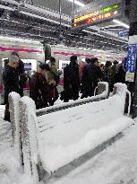 Heavy snowfall hits Tokyo