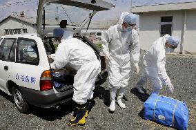 Abandoned Fukushima livestock to be culled