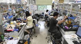 Laboratory of Nobel winner Ohsumi