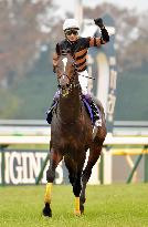 Horse racing: Kitasan Black wins Japan Cup