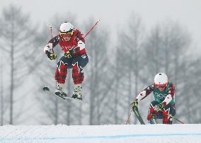 Pyeongchang Olympics