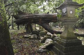 Powerful typhoon in western Japan