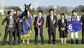 Horse racing: February Stakes in Japan