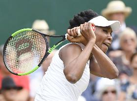 Tennis: V. Williams advances to Wimbledon final