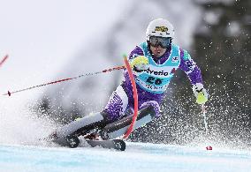 World Cup Alpine skiing