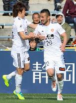 Soccer: S-Pulse scrape draw with Vegalta