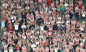 Rugby World Cup in Japan: Japan v Ireland