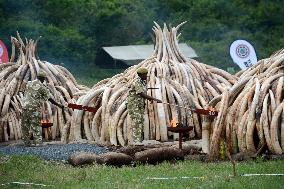 Kenyan government burns more than 100 tons of ivory