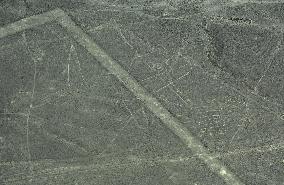 Nazca Lines