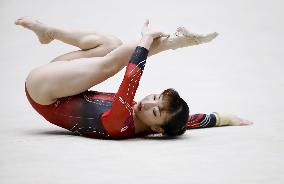 Gymnastics: Japan all-round title