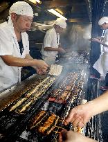 Eel-eating day in Japan