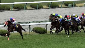 Top favorite T.M. Ocean wins Oka-sho race