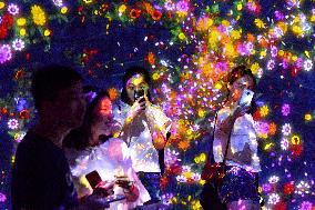 Digital art exposition attracts Chinese people