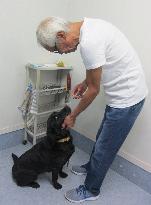 More trainers, funds key to expanding sniffer dog cancer test