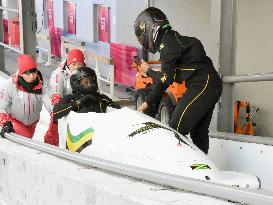 Pyeongchang Olympics