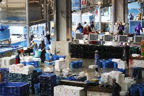 Opening of Toyosu fish market