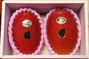 Mangoes from southwestern Japan