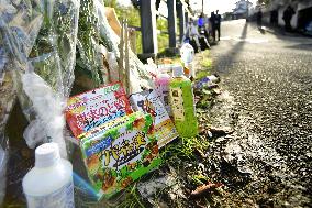 Serial murder case in Zama, Japan