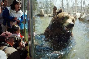 Open-air bear facility open in Hokkaido