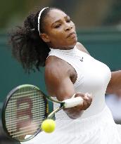 S. Williams defeats Kerber to win seventh Wimbledon title