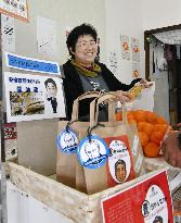 Abe to host Putin in home town