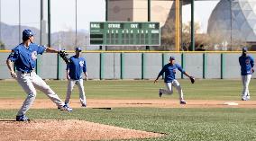 Baseball: Darvish at Cubs spring training