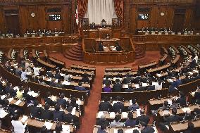 Japanese Diet passes bill to levy departure tax