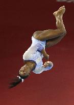 Artistic gymnastics world championships