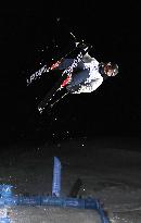 Skiing: Onozuka 1st Japanese to win halfpipe gold at worlds