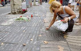 Terror attacks in Spain